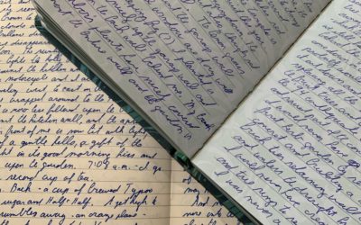 On the Nature of Writing a Garden Journal, and the Words which Appear on the Pages