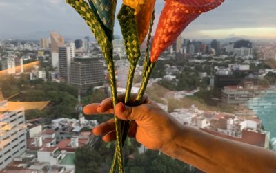 In Mexico City, We Bought Handmade Flowers, One the Color of the Blue and Another of the Yellow of the Ukrainian Flag, and a Third One of Pink, Because it was Pretty, from the Young Woman of the Gentle Smile