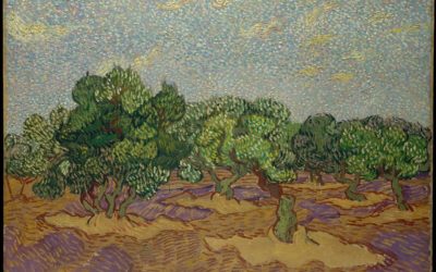 Postcard Story – Olive Trees – Vincent van Gogh – 1889 –The Metropolitan Museum of Art – 1899