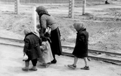 No One Can Say They Have “Favorite” Holocaust Photos.  Favorite as a Word Does Not Exist in That World.  No, One Only Has Those Which Have Deeply Touched Within, Those in Which We Recognize Ourselves & in Which We Recognize Our Mother, or Brother, Childhood Playmates, or Grandfather, or One’s Own Little Girl or Grandchild, of Which There Should Be Many in These Photos.